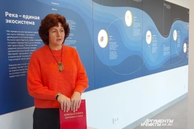 Филина нашли лишь в одном из 35 мест обитания в Прикамье